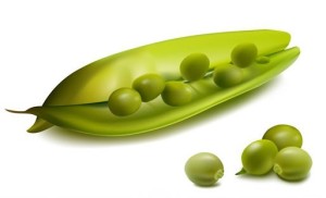 Vector Fresh Peas