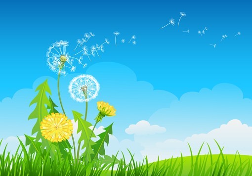 Vector Spring Taraxacum Dandelion Background 01