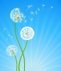 Vector Spring Taraxacum Dandelion Background 02