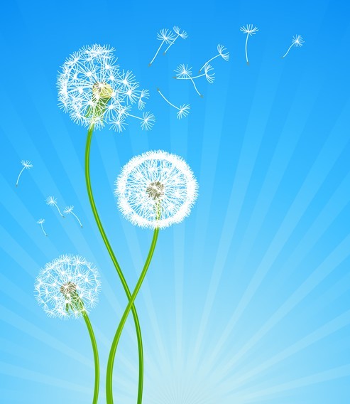 Vector Spring Taraxacum Dandelion Background 02