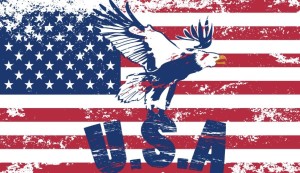 Vintage American Flag Design Vector 05