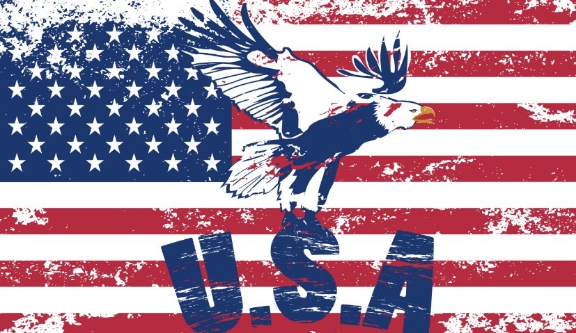 Vintage American Flag Design Vector 05