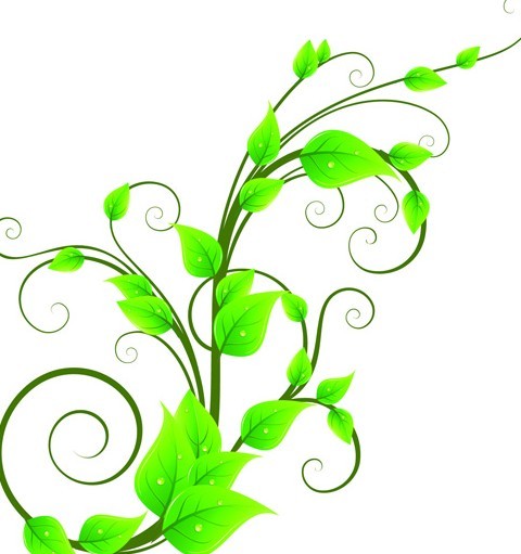 Fresh Green Floral Background Vector 02