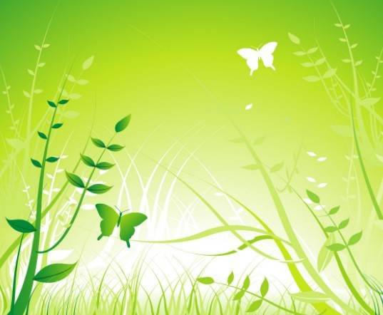 Vector Spring Flowers and Butterflies Illustration 03
