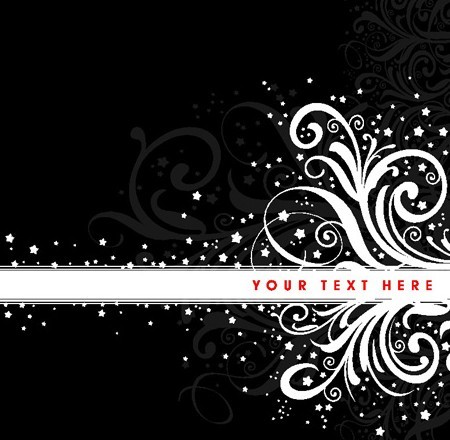 Black and White Vintage Floral & Flower Decorative Pattern 02 Vector