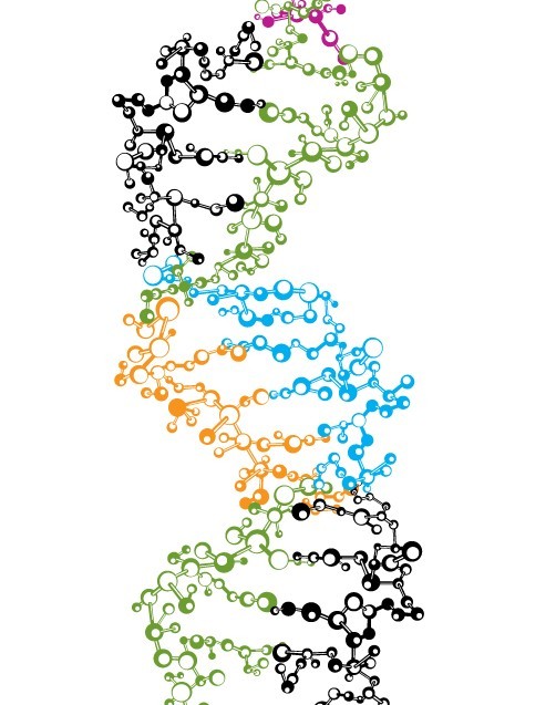 Vector DNA Strand