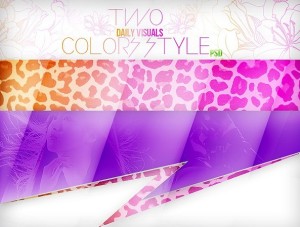Two Daily Visual Colors Styles PSD