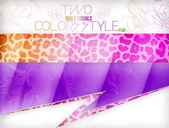 Two Daily Visual Colors Styles PSD