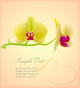 Vintage Orchid Card Background Vector 01