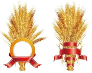 Wheat Stalks Design Materials Vector