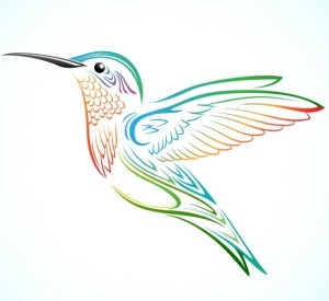 Colorful Hummingbird Vector