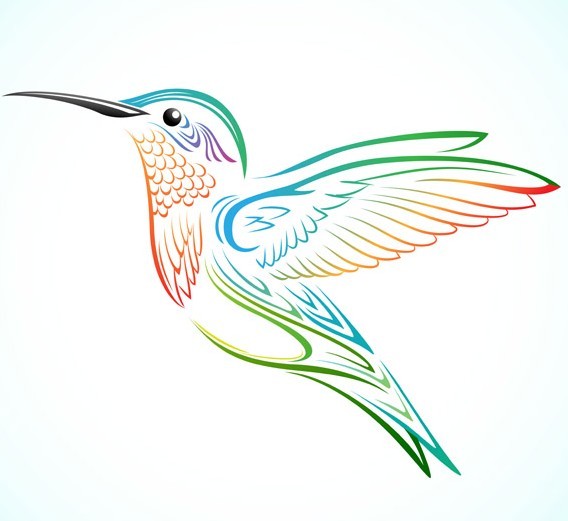 Colorful Hummingbird Vector
