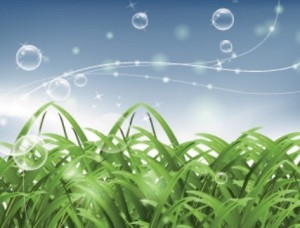 Fresh Natural Sunshine Vector Illustration 03
