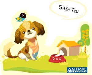 Cute Cartoon Shih Tzu Illustration Vector