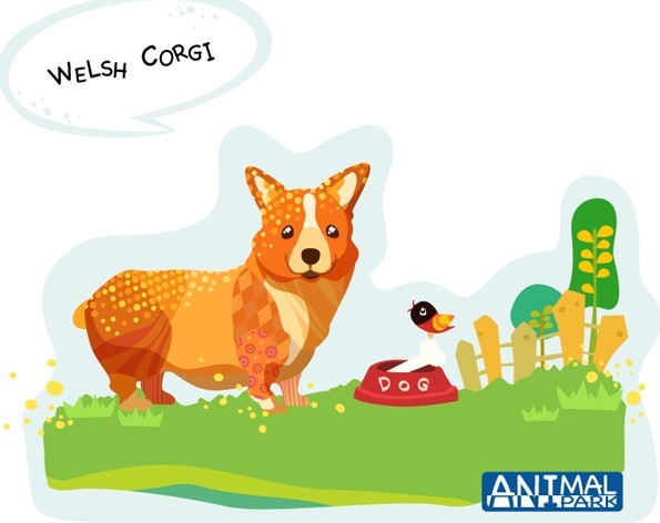 Cute Cartoon Welsh Corgi Illustration Vector