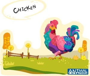 Cute Cartoon Chicken Illustration Vector