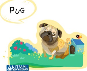 Cute Cartoon Pug Illustration Vector