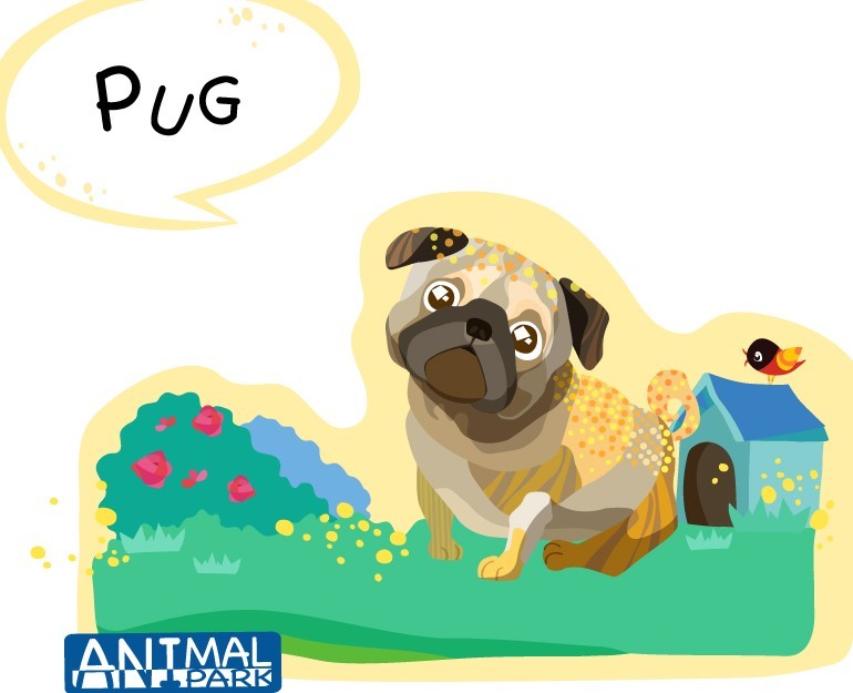 Cute Cartoon Pug Illustration Vector