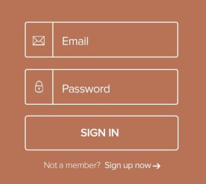 Minimal Outline Login Form PSD