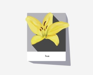 Simple Vector Photo Frame with Lily Flower