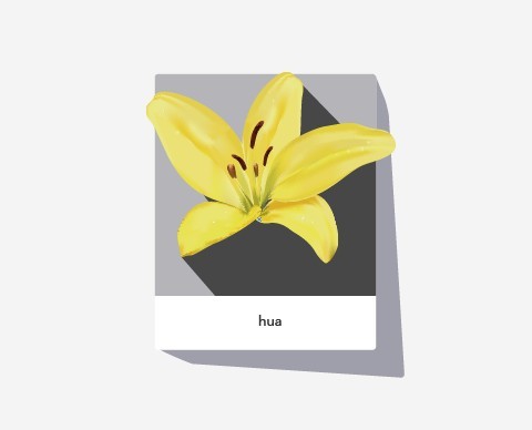Simple Vector Photo Frame with Lily Flower