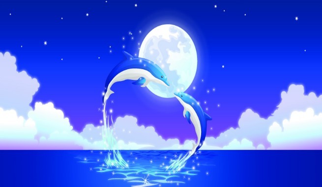 Romantic Blue Dolphins Jumping Out Of The Water