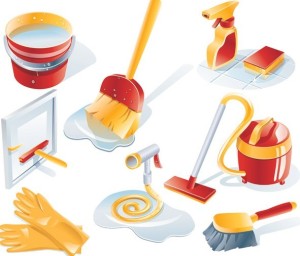 Set Of Clean House Cleaning Icons Vector 01