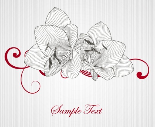 Vintage Line Drawing Lily Flower