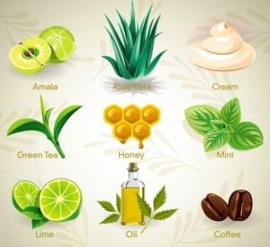 Set Of Vector Natural Cosmetics