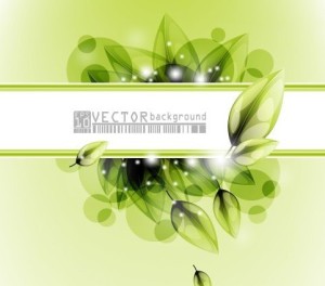 Clean Green Flower & Leaf Background Vector 02