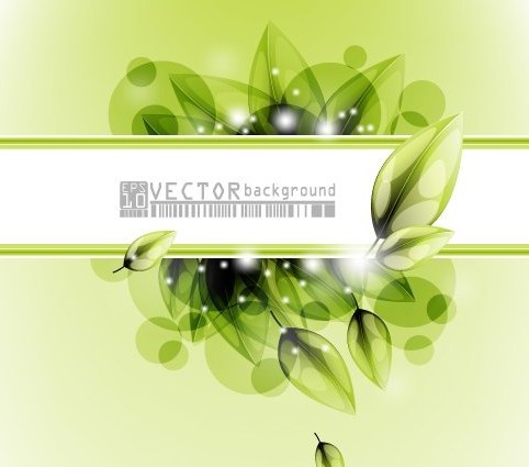 Clean Green Flower & Leaf Background Vector 02