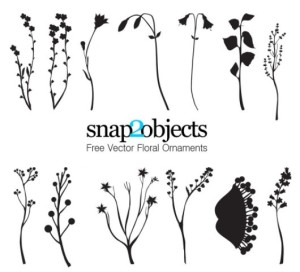 Set Of Simple and Clean Floral Ornaments Vector