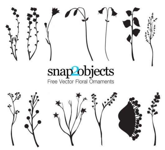 Set Of Simple and Clean Floral Ornaments Vector