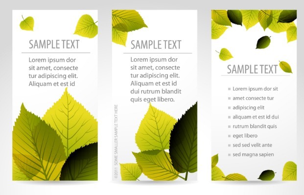 Vector Fresh Vertical Banners with Maple Leaf Background 01