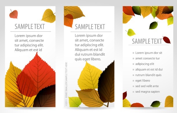 Vector Fresh Vertical Banners with Maple Leaf Background 02