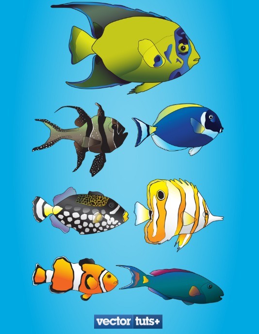 7 Vector Illustrations of Tropical Fishes
