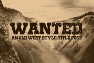 Free Font Wanted