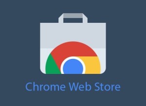 Flat Chrome Web Store Icon PSD