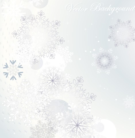 Winter Snowflake Background Vector 04