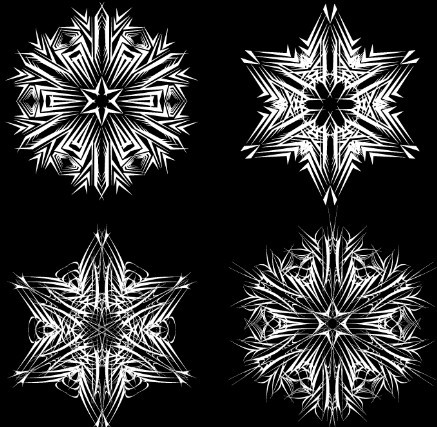 Creative Black and White Snowflake Design Vector 01