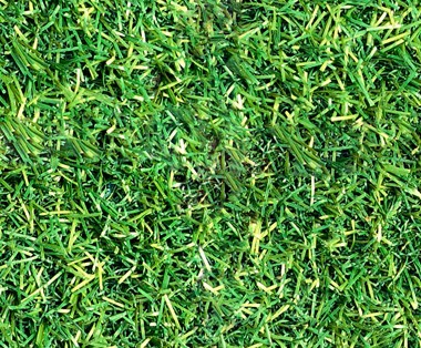 Seamless Green Grass Texture