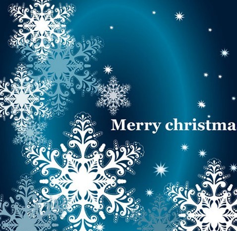 Elegant Snowflakes Background For Christmas Vector 02