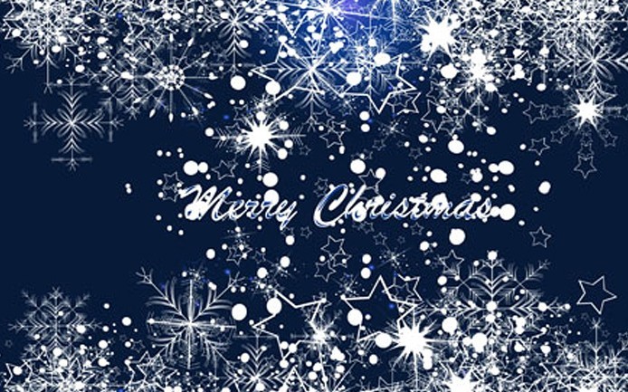 Elegant Snowflakes Background For Christmas Vector 04