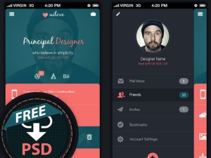 Mobile App User Profile Interface PSD