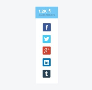 Vertical Social Share Side Bar PSD