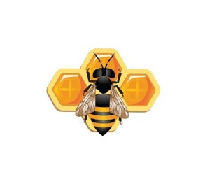 Vector Illustration Of Bee and Honeycomb