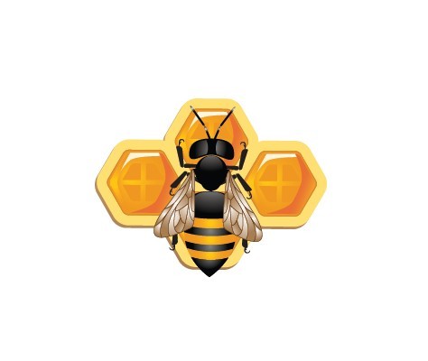 Vector Illustration Of Bee and Honeycomb