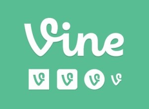 Vine Icon Set Vector