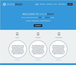 Flat Blue and White Website Template PSD