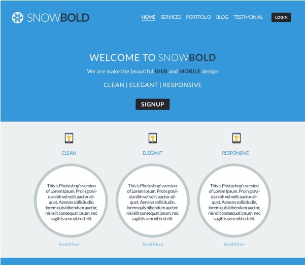 Flat Blue and White Website Template PSD